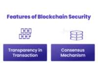 What is Blockchain Security? Its Working and Use Cases What is Blockchain Security? Its Working and Use Cases