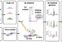 Bio-protocol - Improve Research Reproducibility