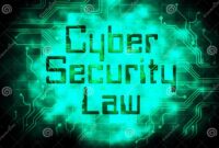 Cyber Law