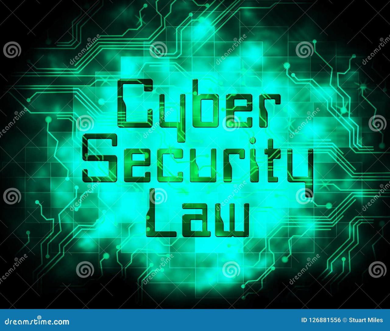 Cyber Law