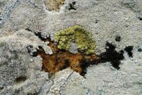 Free - Free - Free - Server Farm Graphics for PowerPoint and Google ...