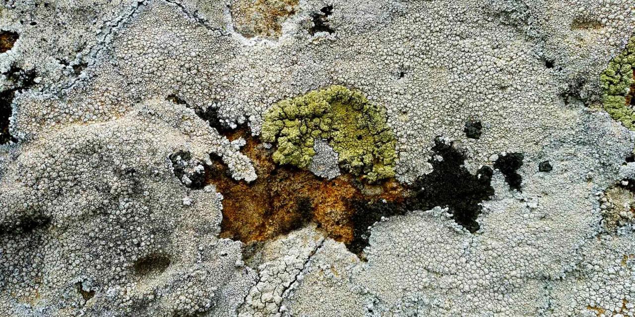 Free - Free - Free - Server Farm Graphics for PowerPoint and Google ...